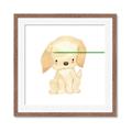 Picture of Golden retriever _GroupedProduct_Square_Mini_ _GroupedProduct_Square_Framed_Matted_