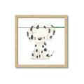 Picture of Dalmatian _GroupedProduct_Square_Mini_ _GroupedProduct_Square_Framed_Matted_
