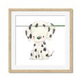 Picture of Dalmatian _GroupedProduct_Square_Mini_ _GroupedProduct_Square_Framed_Matted_