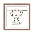Picture of Dalmatian _GroupedProduct_Square_Mini_ _GroupedProduct_Square_Framed_Matted_