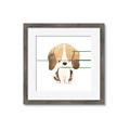 Picture of Beagle _GroupedProduct_Square_Mini_ _GroupedProduct_Square_Framed_Matted_