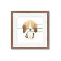Picture of Beagle _GroupedProduct_Square_Mini_ _GroupedProduct_Square_Framed_Matted_