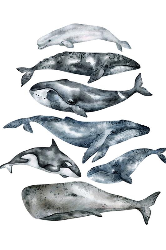 Picture of Fish Pattern _GroupedProduct_Rectangle_Portrait_Mini_ _GroupedProduct_Rectangle_Portrait_Unframed_Print_Only_