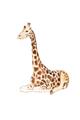 Picture of Cute Baby Giraffe _GroupedProduct_Rectangle_Portrait_Mini_ _GroupedProduct_Rectangle_Portrait_Unframed_Print_Only_