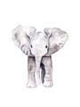 Picture of Cute Baby Elephant _GroupedProduct_Rectangle_Portrait_Mini_ _GroupedProduct_Rectangle_Portrait_Unframed_Print_Only_