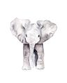 Picture of Cute Baby Elephant _GroupedProduct_Rectangle_Portrait_Mini_ _GroupedProduct_Rectangle_Portrait_Unframed_Print_Only_