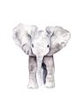 Picture of Cute Baby Elephant _GroupedProduct_Rectangle_Portrait_Mini_ _GroupedProduct_Rectangle_Portrait_Unframed_Print_Only_