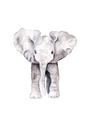 Picture of Cute Baby Elephant _GroupedProduct_Rectangle_Portrait_Mini_ _GroupedProduct_Rectangle_Portrait_Unframed_Print_Only_