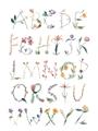 Picture of Botanical alphabet _GroupedProduct_Rectangle_Portrait_Mini_ _GroupedProduct_Rectangle_Portrait_Unframed_Print_Only_
