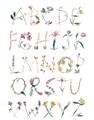 Picture of Botanical alphabet _GroupedProduct_Rectangle_Portrait_Mini_ _GroupedProduct_Rectangle_Portrait_Unframed_Print_Only_