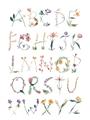 Picture of Botanical alphabet _GroupedProduct_Rectangle_Portrait_Mini_ _GroupedProduct_Rectangle_Portrait_Unframed_Print_Only_