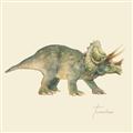 Picture of Triceratops _GroupedProduct_Square_Mini_ _GroupedProduct_Square_Unframed_Print_Only_