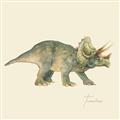 Picture of Triceratops _GroupedProduct_Square_Mini_ _GroupedProduct_Square_Unframed_Print_Only_
