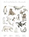 Picture of Cute Wild Animals II _GroupedProduct_Rectangle_Portrait_Mini_ _GroupedProduct_Rectangle_Portrait_Unframed_Print_Only_