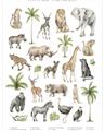 Picture of African wild animals I _GroupedProduct_Rectangle_Portrait_Mini_ _GroupedProduct_Rectangle_Portrait_Unframed_Print_Only_