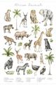 Picture of African wild animals I _GroupedProduct_Rectangle_Portrait_Mini_ _GroupedProduct_Rectangle_Portrait_Unframed_Print_Only_