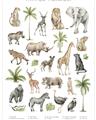 Picture of African wild animals I _GroupedProduct_Rectangle_Portrait_Mini_ _GroupedProduct_Rectangle_Portrait_Unframed_Print_Only_