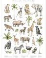 Picture of African wild animals I _GroupedProduct_Rectangle_Portrait_Mini_ _GroupedProduct_Rectangle_Portrait_Unframed_Print_Only_