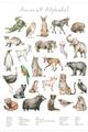Picture of African wild animals II _GroupedProduct_Rectangle_Portrait_Mini_ _GroupedProduct_Rectangle_Portrait_Unframed_Print_Only_