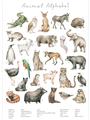 Picture of African wild animals II _GroupedProduct_Rectangle_Portrait_Mini_ _GroupedProduct_Rectangle_Portrait_Unframed_Print_Only_