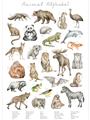 Picture of Cute Wild Animals I _GroupedProduct_Rectangle_Portrait_Mini_ _GroupedProduct_Rectangle_Portrait_Unframed_Print_Only_