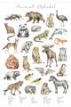 Picture of Cute Wild Animals I _GroupedProduct_Rectangle_Portrait_Mini_ _GroupedProduct_Rectangle_Portrait_Unframed_Print_Only_