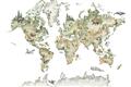 Picture of World Map with Animals CC _GroupedProduct_Rectangle_Landscape_Mini_ _GroupedProduct_Rectangle_Landscape_Unframed_Print_Only_