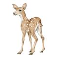 Picture of Forest Deer _GroupedProduct_Square_Mini_ _GroupedProduct_Square_Unframed_Print_Only_