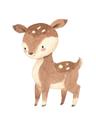 Picture of Woodland animals Deer _GroupedProduct_Rectangle_Portrait_Mini_ _GroupedProduct_Rectangle_Portrait_Unframed_Print_Only_