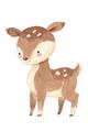 Picture of Woodland animals Deer _GroupedProduct_Rectangle_Portrait_Mini_ _GroupedProduct_Rectangle_Portrait_Unframed_Print_Only_