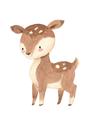 Picture of Woodland animals Deer _GroupedProduct_Rectangle_Portrait_Mini_ _GroupedProduct_Rectangle_Portrait_Unframed_Print_Only_
