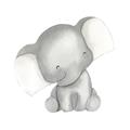 Picture of Lovely Elephant _GroupedProduct_Square_Mini_ _GroupedProduct_Square_Unframed_Print_Only_