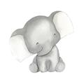 Picture of Lovely Elephant _GroupedProduct_Square_Mini_ _GroupedProduct_Square_Unframed_Print_Only_