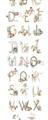 Picture of Woodland animals Alphabet _GroupedProduct_Panel_Portrait_Mini_ _GroupedProduct_Panel_Portrait_Unframed_Print_Only_