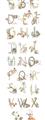 Picture of Woodland animals Alphabet _GroupedProduct_Panel_Portrait_Mini_ _GroupedProduct_Panel_Portrait_Unframed_Print_Only_