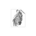 Picture of Sketched Zebras _GroupedProduct_Rectangle_Portrait_Mini_ _GroupedProduct_Rectangle_Portrait_Unframed_Print_Only_