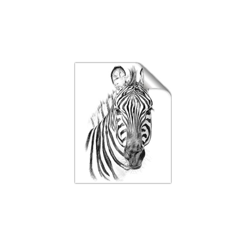 Picture of Sketched Zebras _GroupedProduct_Rectangle_Portrait_Mini_ _GroupedProduct_Rectangle_Portrait_Unframed_Print_Only_