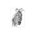 Picture of Sketched Zebras _GroupedProduct_Rectangle_Portrait_Mini_ _GroupedProduct_Rectangle_Portrait_Unframed_Print_Only_