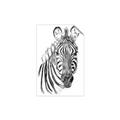 Picture of Sketched Zebras _GroupedProduct_Rectangle_Portrait_Mini_ _GroupedProduct_Rectangle_Portrait_Unframed_Print_Only_