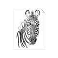 Picture of Sketched Zebras _GroupedProduct_Rectangle_Portrait_Mini_ _GroupedProduct_Rectangle_Portrait_Unframed_Print_Only_