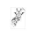 Picture of Sketched Giraffe _GroupedProduct_Rectangle_Portrait_Mini_ _GroupedProduct_Rectangle_Portrait_Unframed_Print_Only_