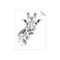 Picture of Sketched Giraffe _GroupedProduct_Rectangle_Portrait_Mini_ _GroupedProduct_Rectangle_Portrait_Unframed_Print_Only_