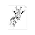Picture of Sketched Giraffe _GroupedProduct_Rectangle_Portrait_Mini_ _GroupedProduct_Rectangle_Portrait_Unframed_Print_Only_