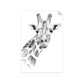 Picture of Sketched Giraffe _GroupedProduct_Rectangle_Portrait_Mini_ _GroupedProduct_Rectangle_Portrait_Unframed_Print_Only_