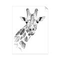 Picture of Sketched Giraffe _GroupedProduct_Rectangle_Portrait_Mini_ _GroupedProduct_Rectangle_Portrait_Unframed_Print_Only_