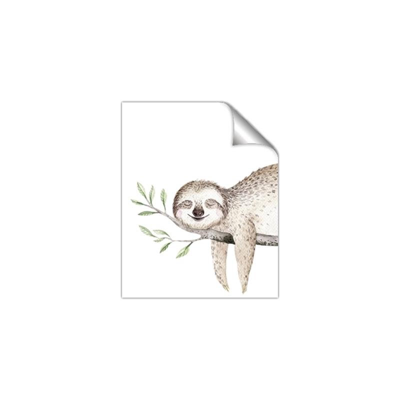 Picture of Kid sloth _GroupedProduct_Rectangle_Portrait_Mini_ _GroupedProduct_Rectangle_Portrait_Unframed_Print_Only_