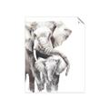 Picture of Elephant Cuddles  _GroupedProduct_Rectangle_Portrait_Mini_ _GroupedProduct_Rectangle_Portrait_Unframed_Print_Only_