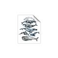 Picture of Fish Pattern _GroupedProduct_Rectangle_Portrait_Mini_ _GroupedProduct_Rectangle_Portrait_Unframed_Print_Only_