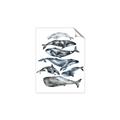 Picture of Fish Pattern _GroupedProduct_Rectangle_Portrait_Mini_ _GroupedProduct_Rectangle_Portrait_Unframed_Print_Only_