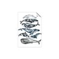 Picture of Fish Pattern _GroupedProduct_Rectangle_Portrait_Mini_ _GroupedProduct_Rectangle_Portrait_Unframed_Print_Only_